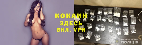 дживик Баксан