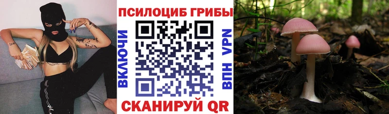 ОМГ ОМГ tor  Петухово  Псилоцибиновые грибы прущие грибы 